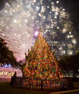 Houston Mayor's Tree