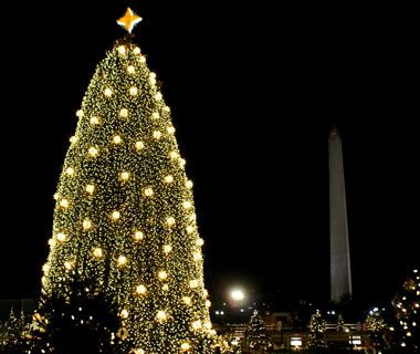 The National Tree in Washington, DC