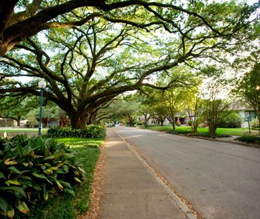 America's Most Beautiful Neighborhoods: Montrose, Houston