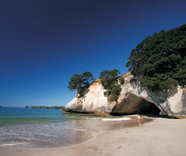 Explore Sea Caves in New Zealand
