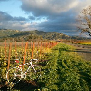 Biking Calistoga's Wineries