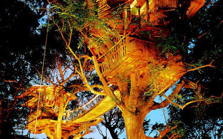 World's Coolest Tree-House Hotels: Sanya Nanshan