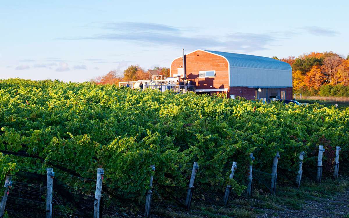 Best Places to Travel in 2015: Prince Edward County, Canada