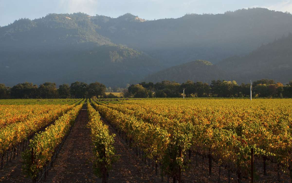 Wine Destinations: Heitz Martha&rsquo;s Vineyard, Napa Valley, California