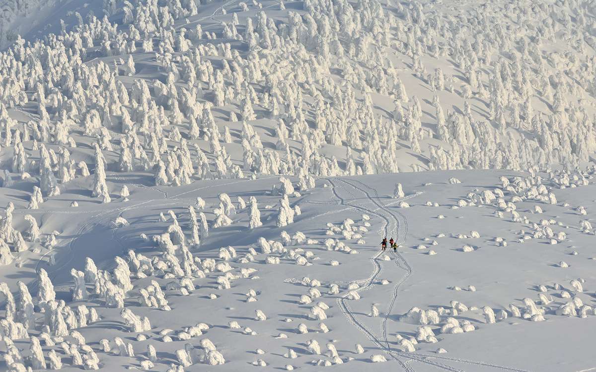 These walkers brave freezing conditions and trek across a snowy mountain - and look like they are joined by thousands of snowmen. The stunning shots show hikers making their way through heavy snow in a 5000ft high mountain range in below freezing temper