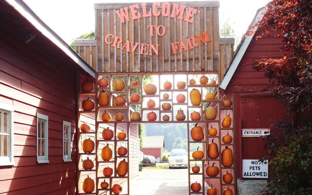 Craven Farm Pumpkin Farm