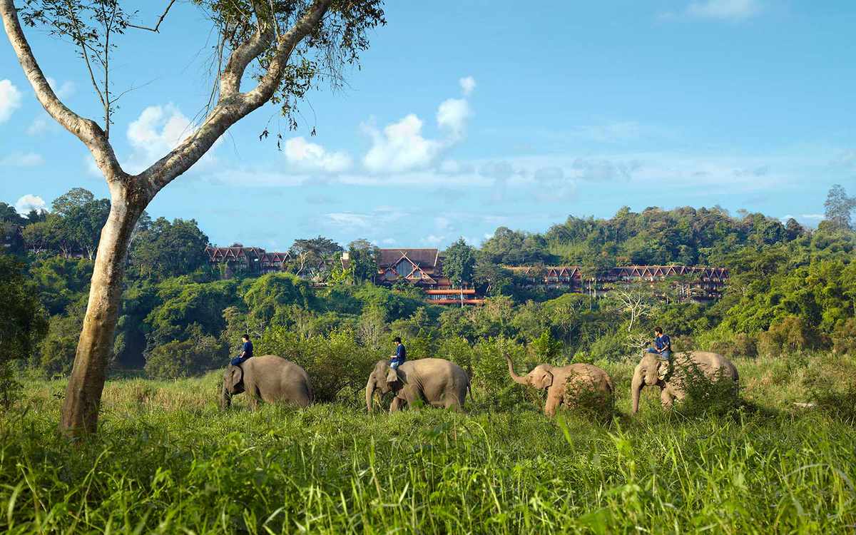 Anantara Golden Triangle Elephant Camp and Resort, Thailand