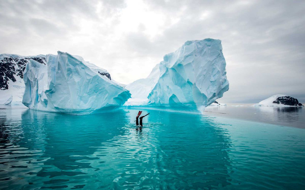 Polar Snorkeling, Antarctica