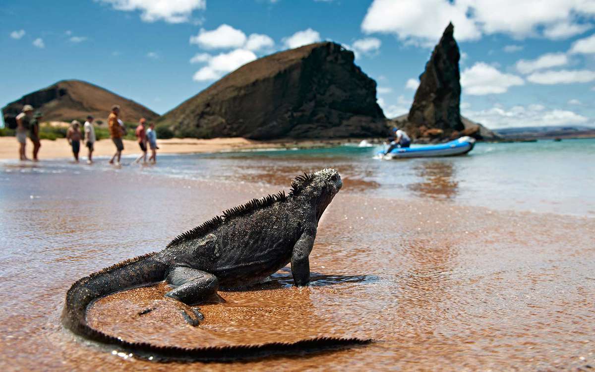 Five Things to Know About Silversea&#39;s Silver Galapagos Cruise Ship | Travel + Leisure