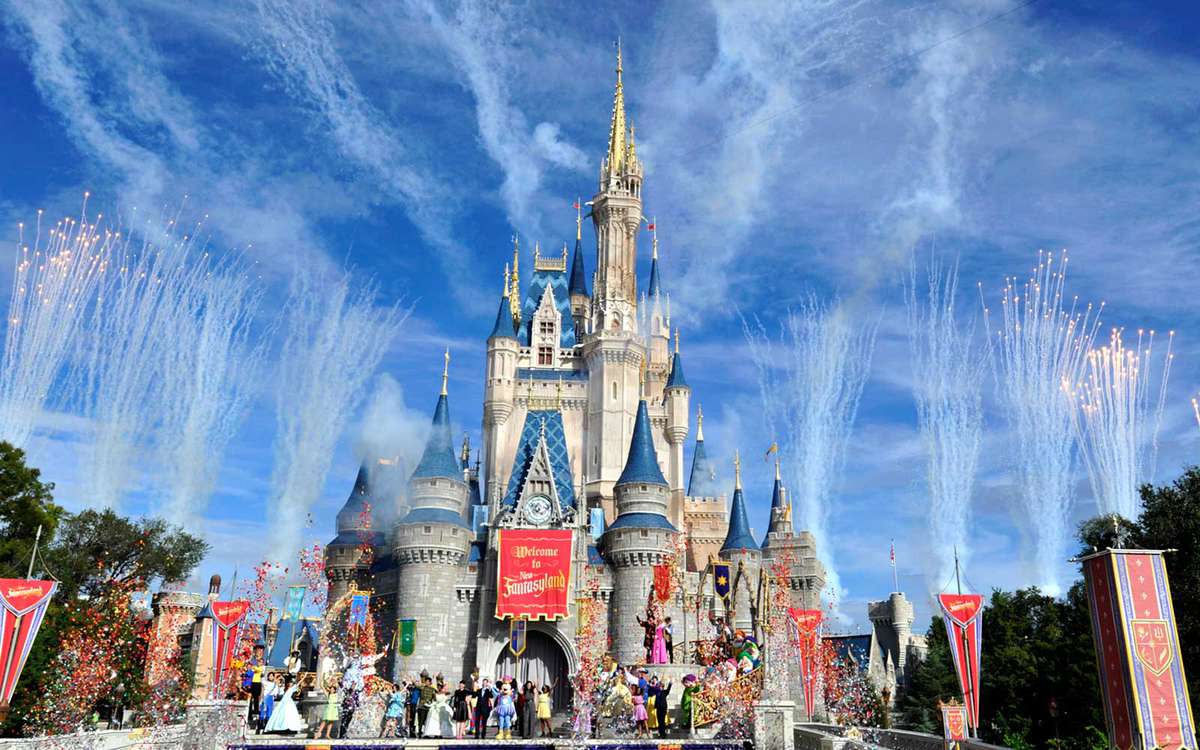 Disney World Castle Inspiration