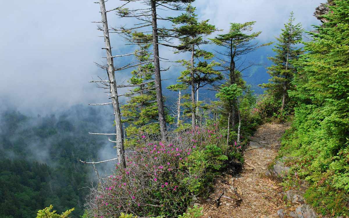 Charlies Bunion Hike, Great Smoky Mountains National Park