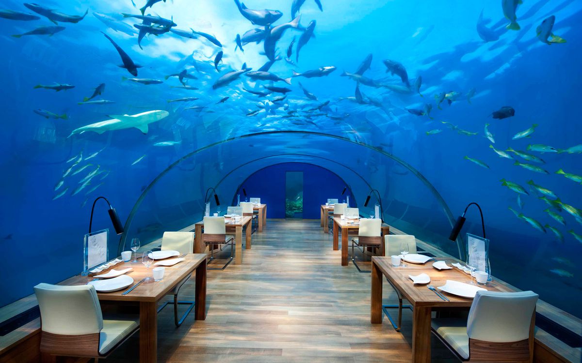 Ithaa Underwater Dining, Conrad Hotel, Maldives