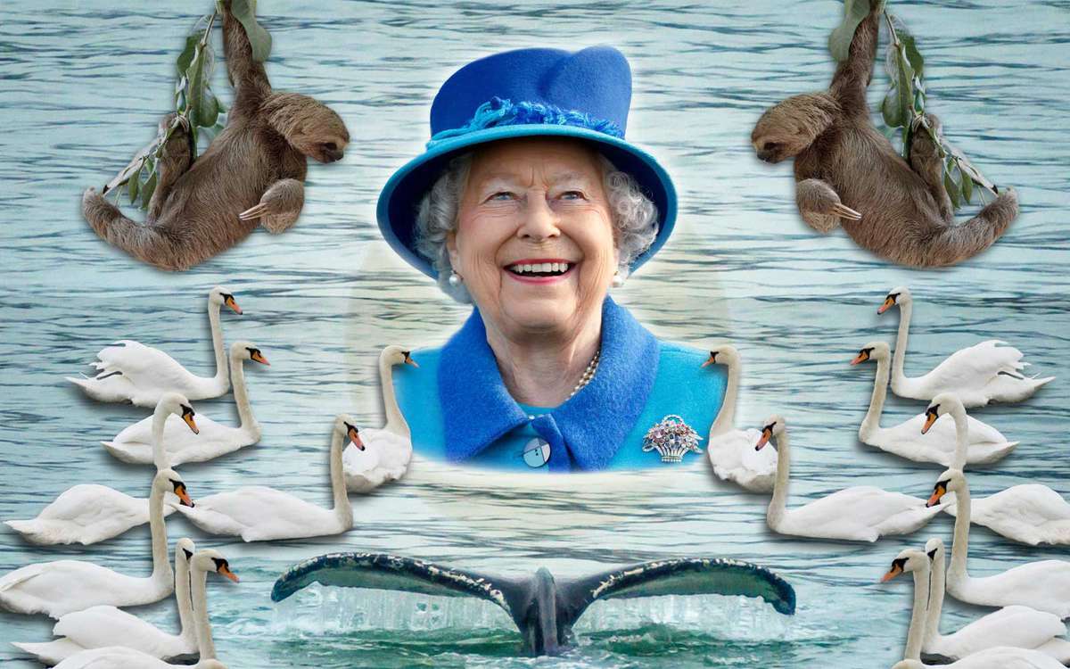 Queen Elizabeth II's Animals