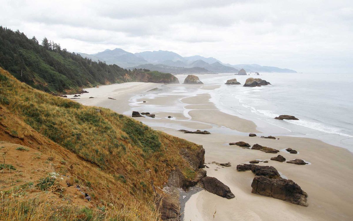 A view of the Oregon coast at Ecola State Park.