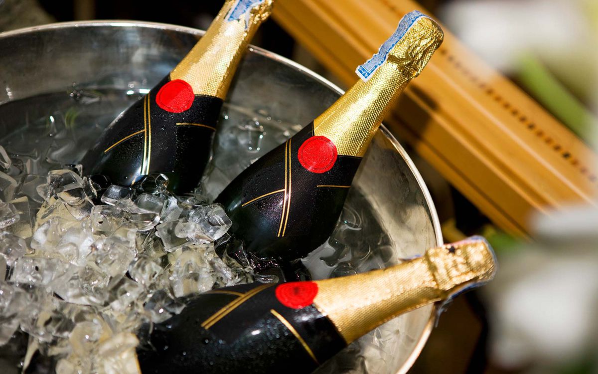 Chilled Champagne Ice Bucket