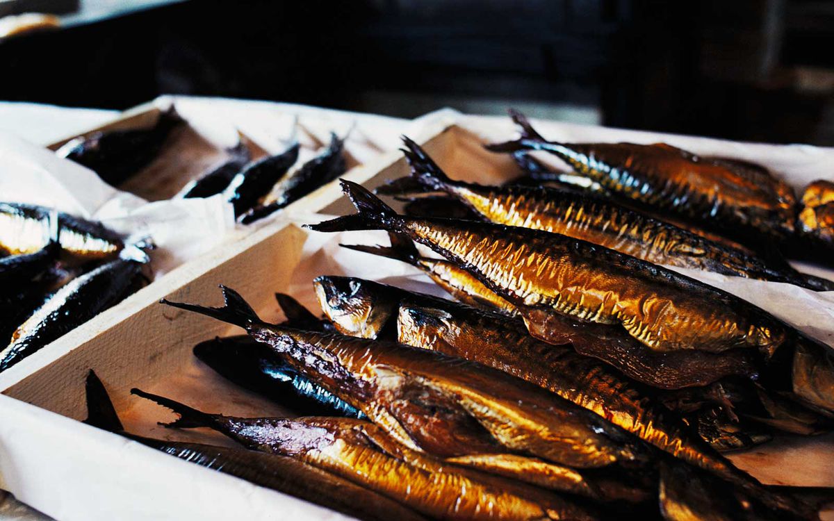 fermented fish - herring