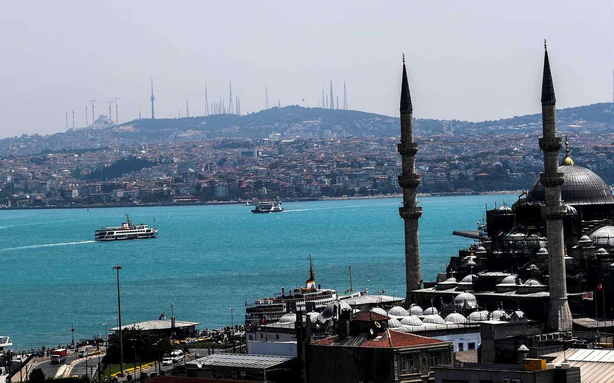 Phytoplankton in the Bosphorus River, Istanbul