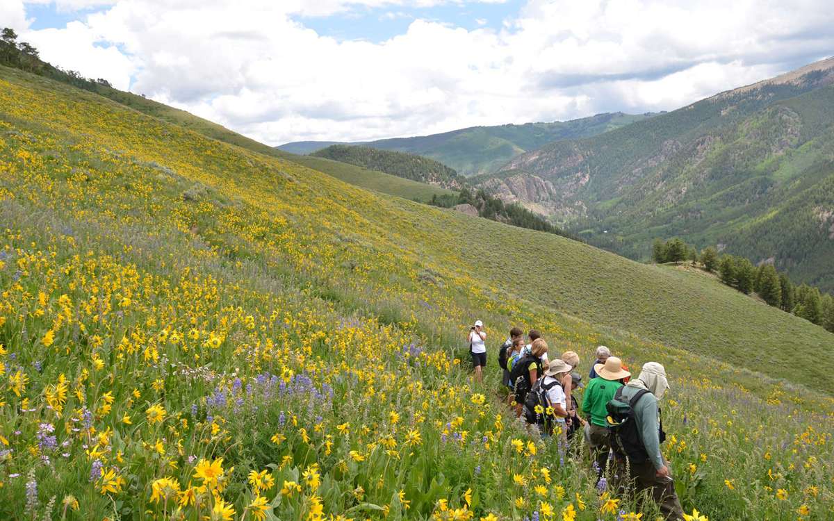 Crested Butte Wildflower Festival, Crested Butte, Colorado