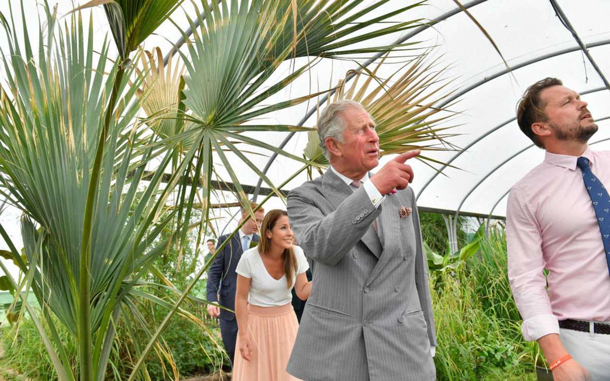 IPSWICH, UNITED KINGDOM - JUNE 05: Prince Charles, Prince of Wales, Patron, The Rare Breeds Survival Trust, is accompanied by Jimmy and Michaela Doherty as he visits Jimmy's Farm to meet the trust's new President, Jimmy Doherty, and find out more about hi