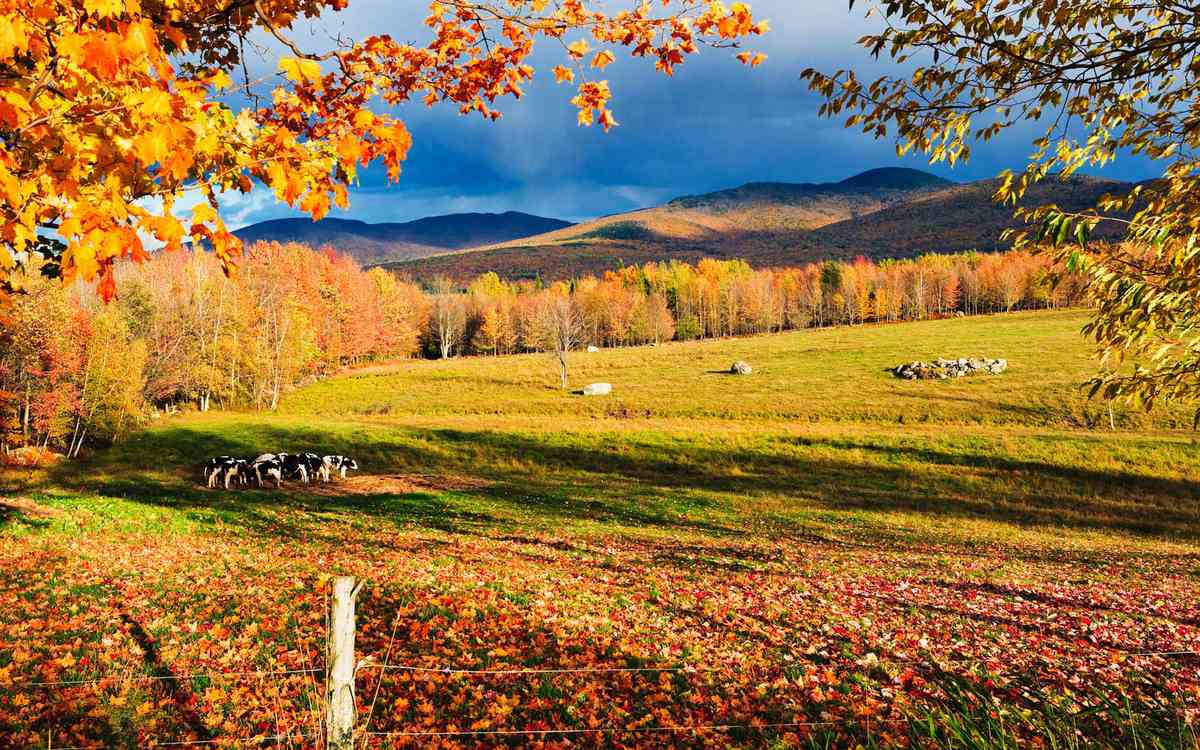 Fall colours and Mont Sutton, Sutton, Eastern Townships, Quebec
