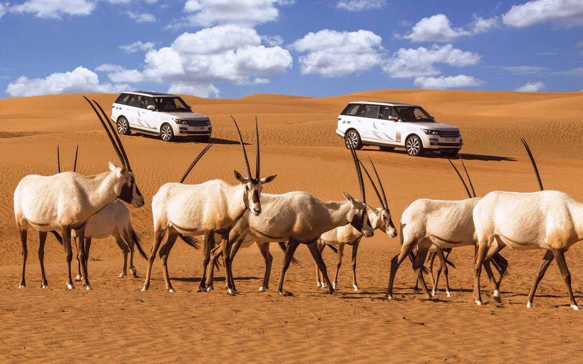 Platinum Luxury Desert Safari Dubai