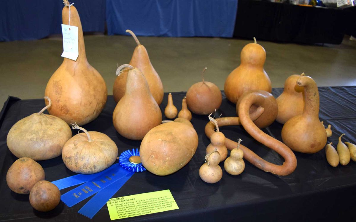 Celebrating Gourds in North Carolina
