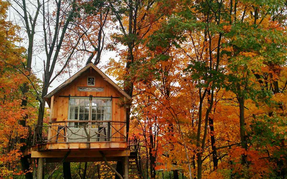 Airbnb Holiday Vacation Rental Treetop Argyle New York