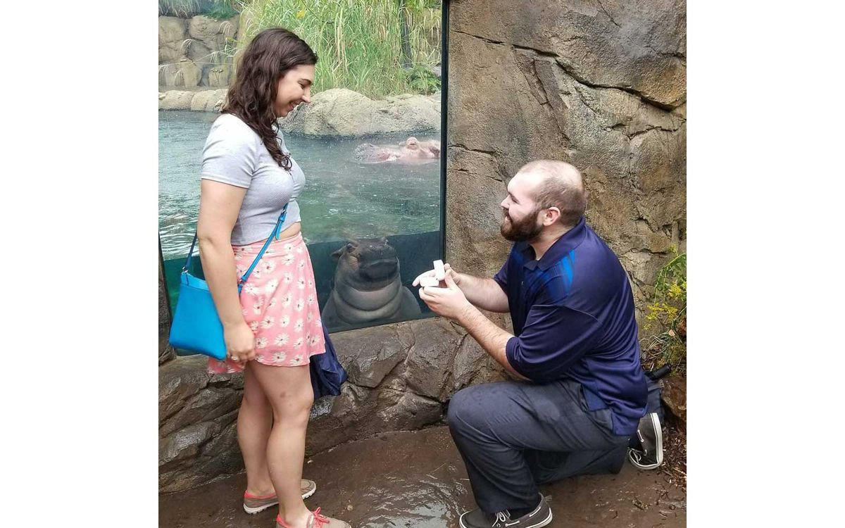 Couple Proposes At Zoo