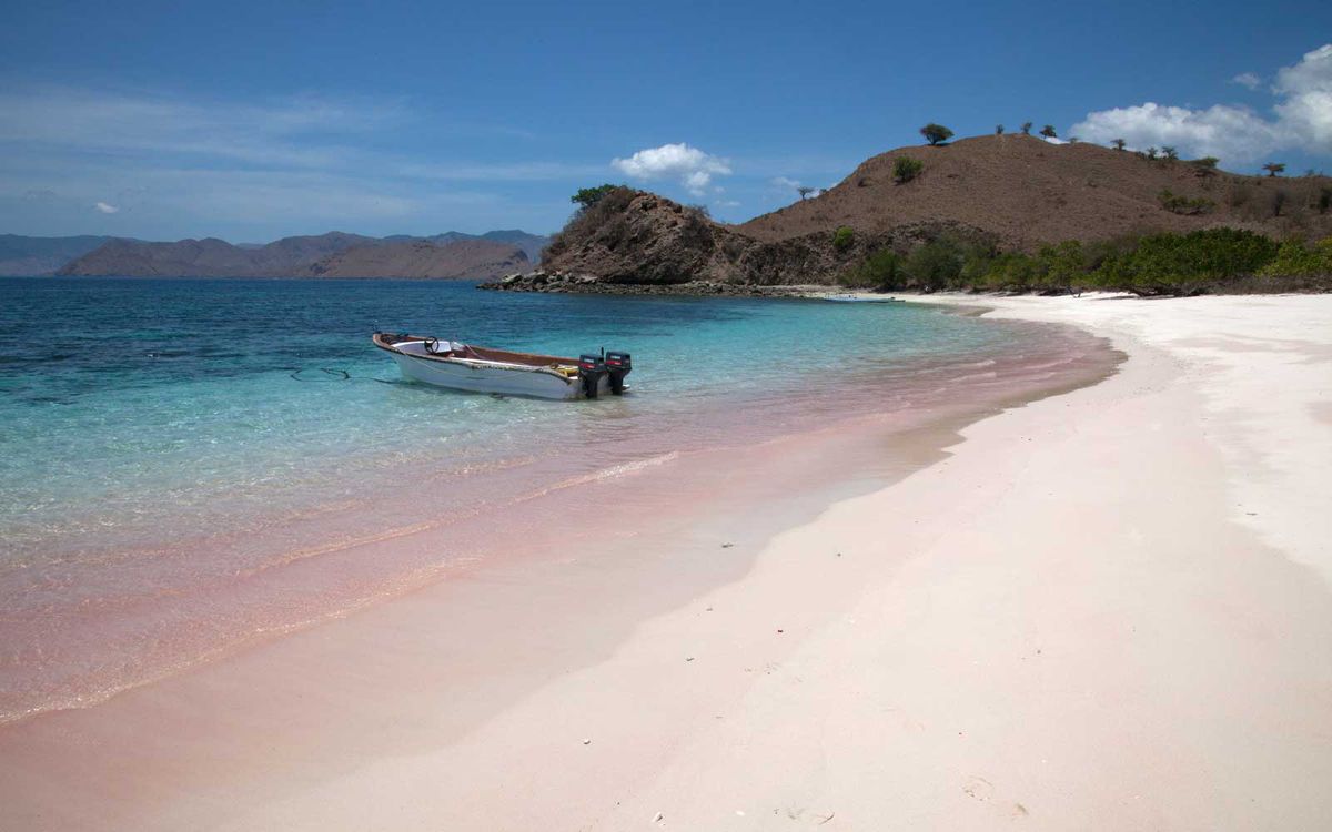 Pantai Merah Komodo Island Indonesia