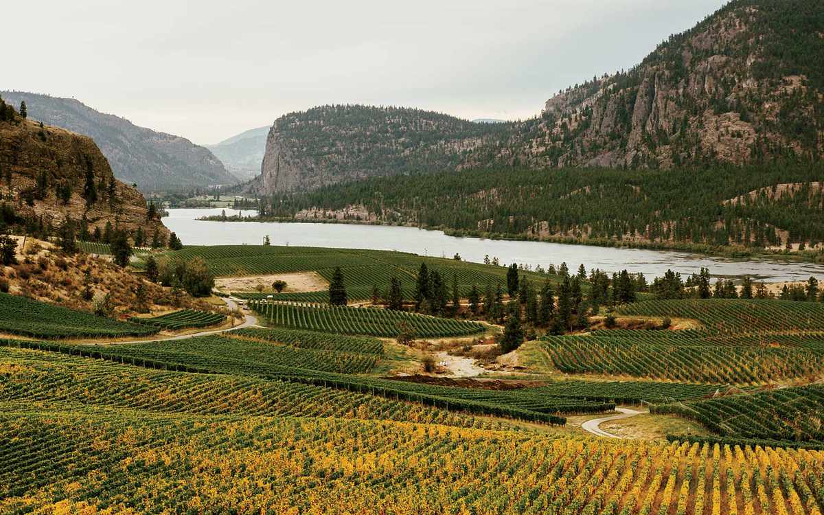 Blue Mountain Vineyard, in Okanagan Valley, British Columbia, Canada