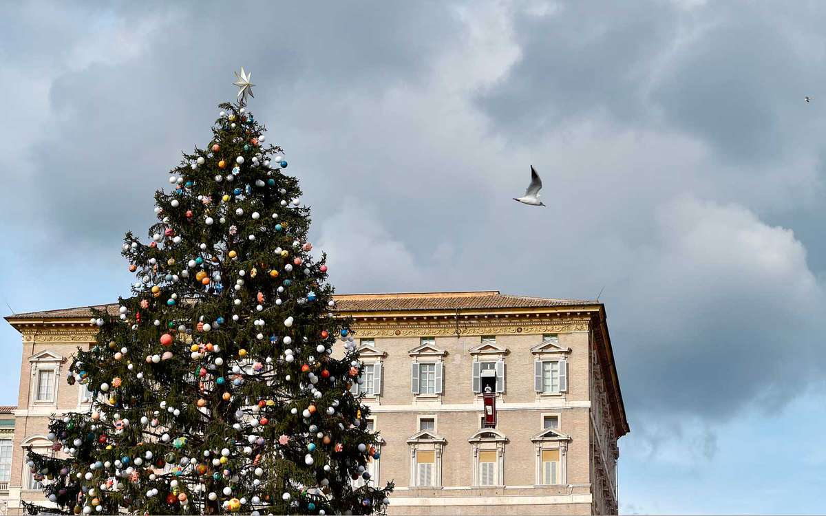 Vatican Christmas tree in St Peter's Square