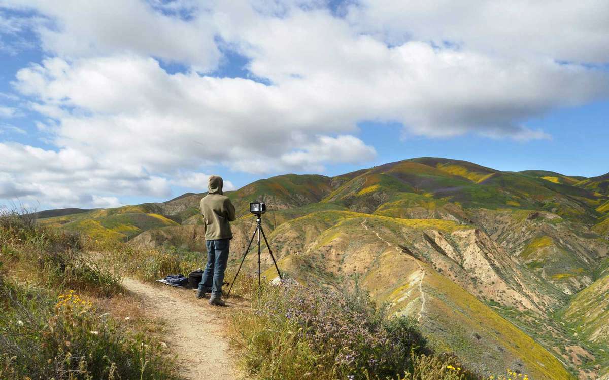 Photographers wait for the perfect light to shoot the wildflower covered hills of the Tremblor Range in Carrizo Plain National Monument near Taft, California during a wildflower "super bloom," April 12, 2017.