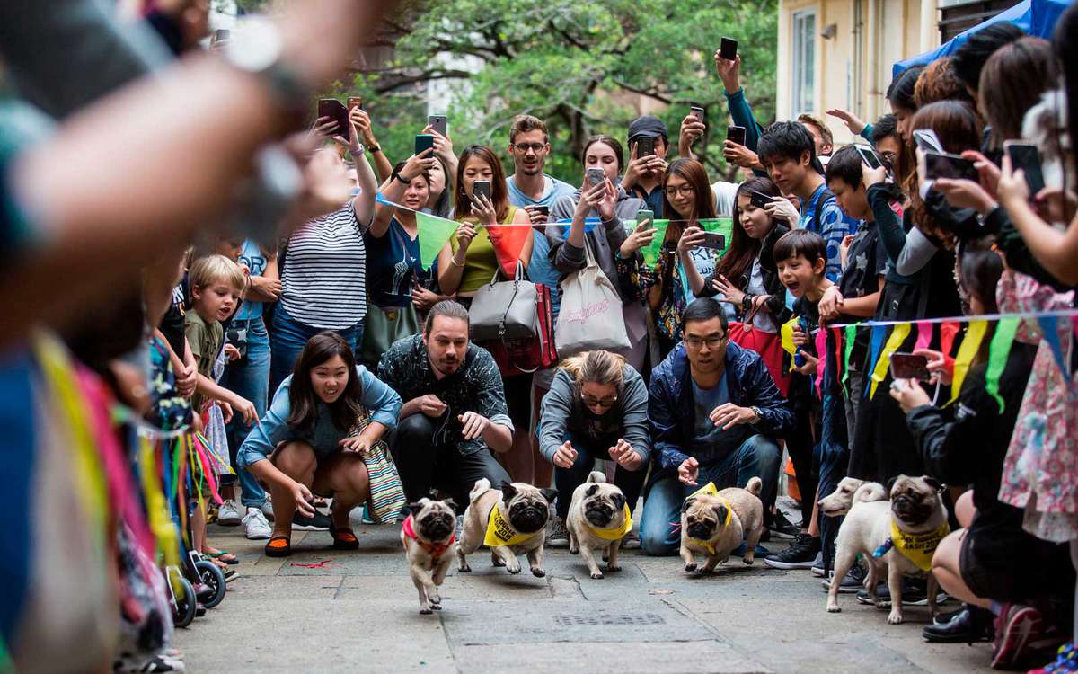 Owners and their dogs take part in "HK Doggie Dash 2018", an event held to raise money for for abandoned and surrendered dogs in Hong Kong on April 15, 2018.