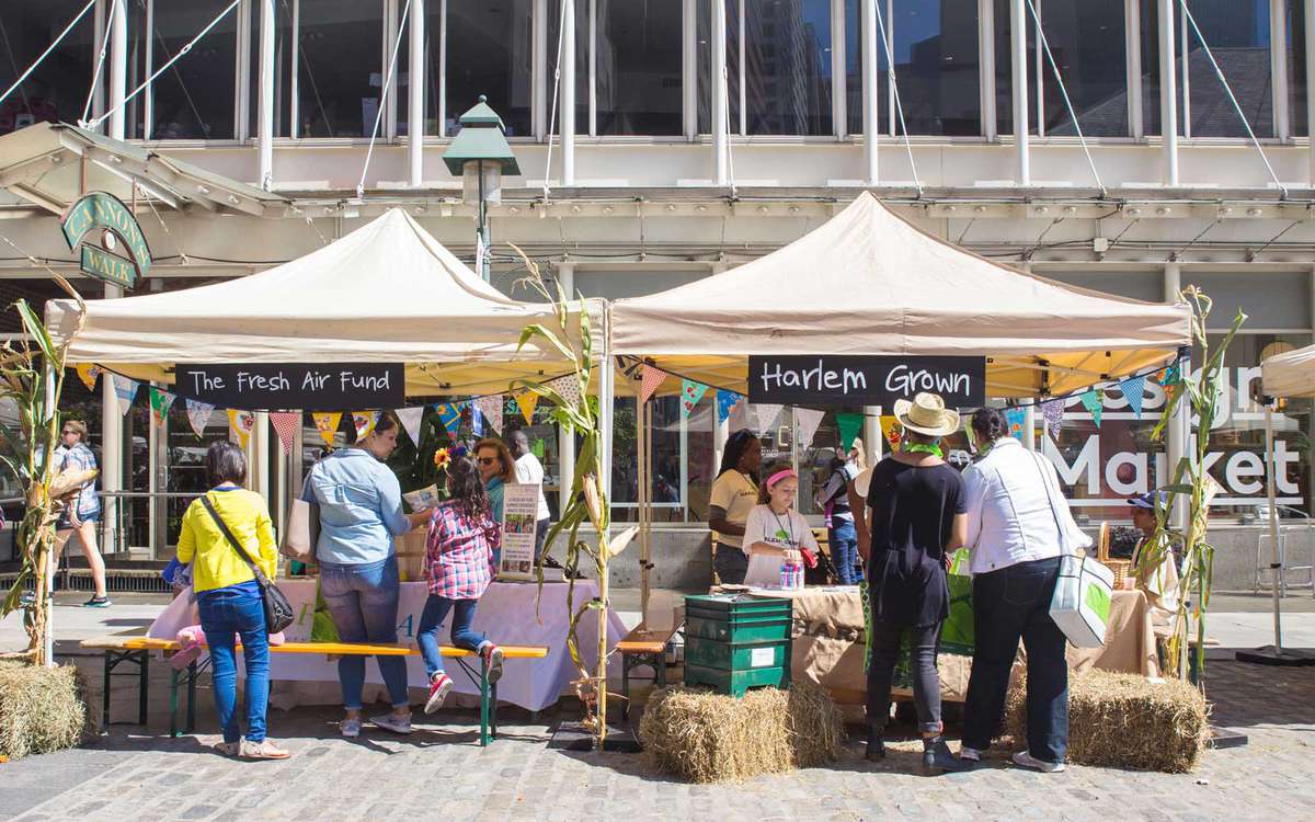 Scene from the Farm Fresh Festival for Kids at the South Street Seaport in Manhattan