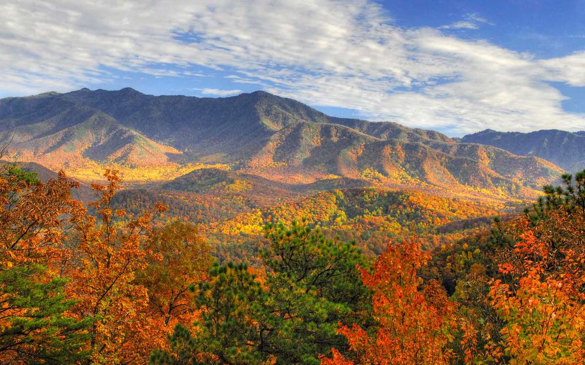 Mount LeConte in autumn, Great Smoky Mountains Ntional Park, Tennessee, USA