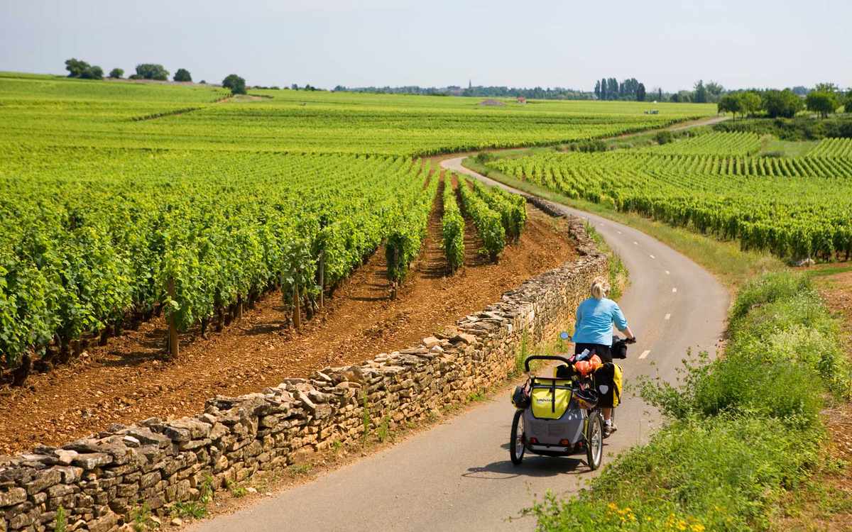 Bike Through French Wine Country