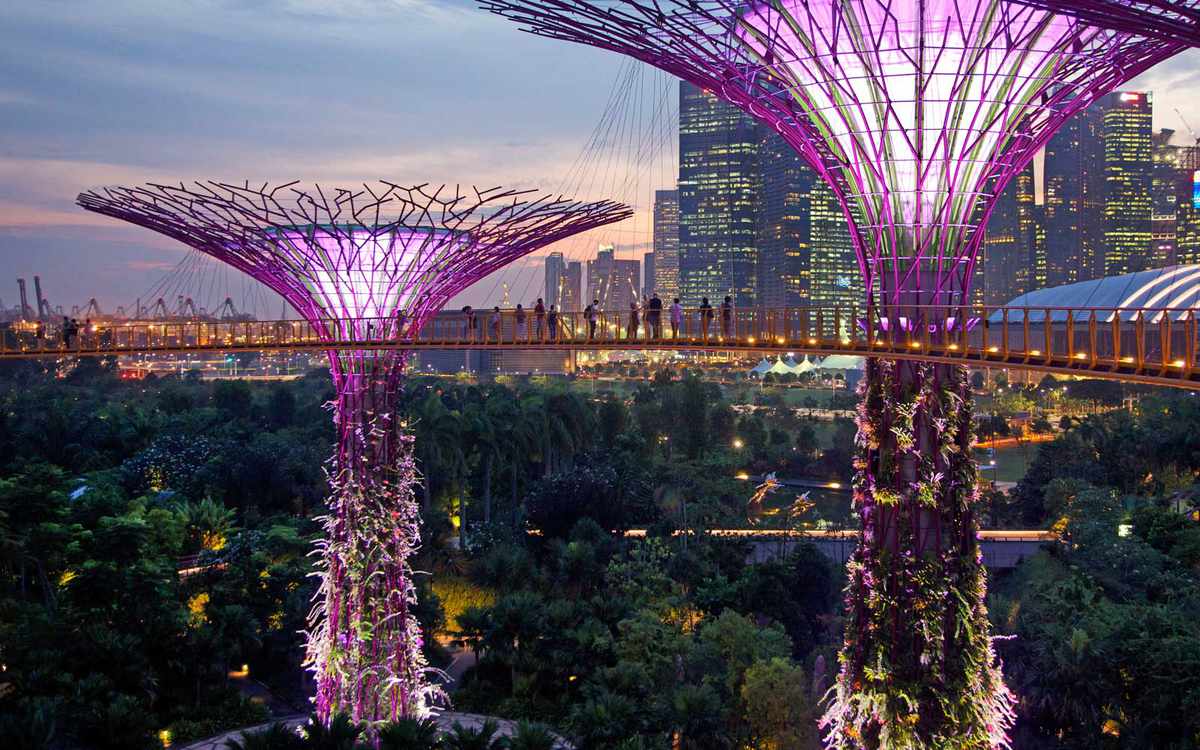 Singapore's Gardens by the Bay illuminated at night