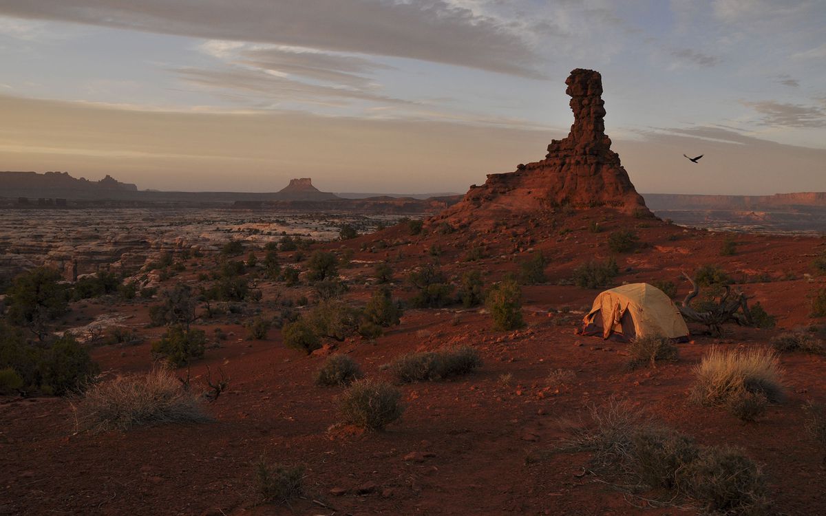 Best Campsites: Canyonlands, Bryce, and Zion, Utah