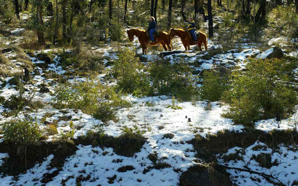 Best Campsites: Main Range, Kosciuszko National Park, Australia
