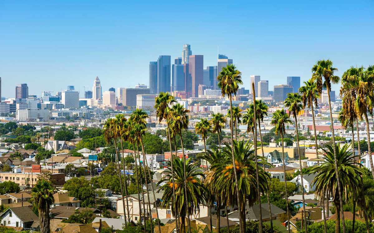Skyline of Los Angeles, with palm trees, on a sunny day