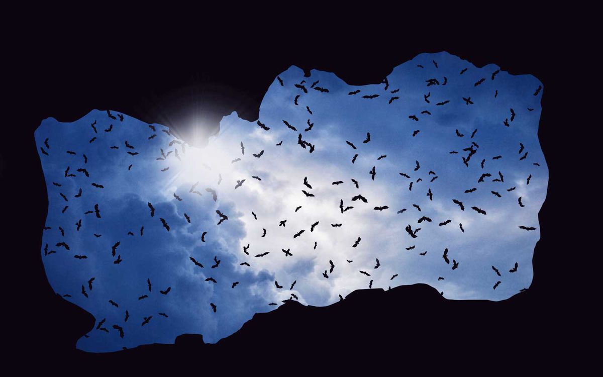 bats flying in the sky above cave