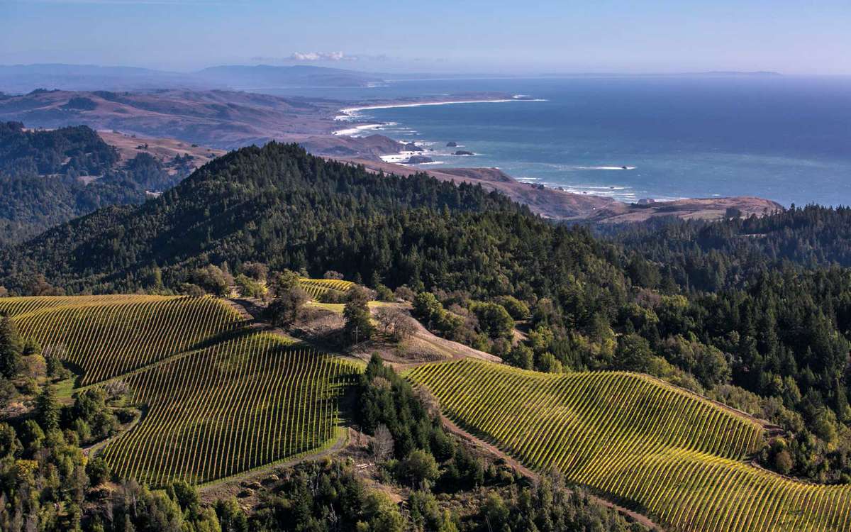 Fort Ross Vineyard & Winery overlooks the Pacific Ocean near Jenner, California