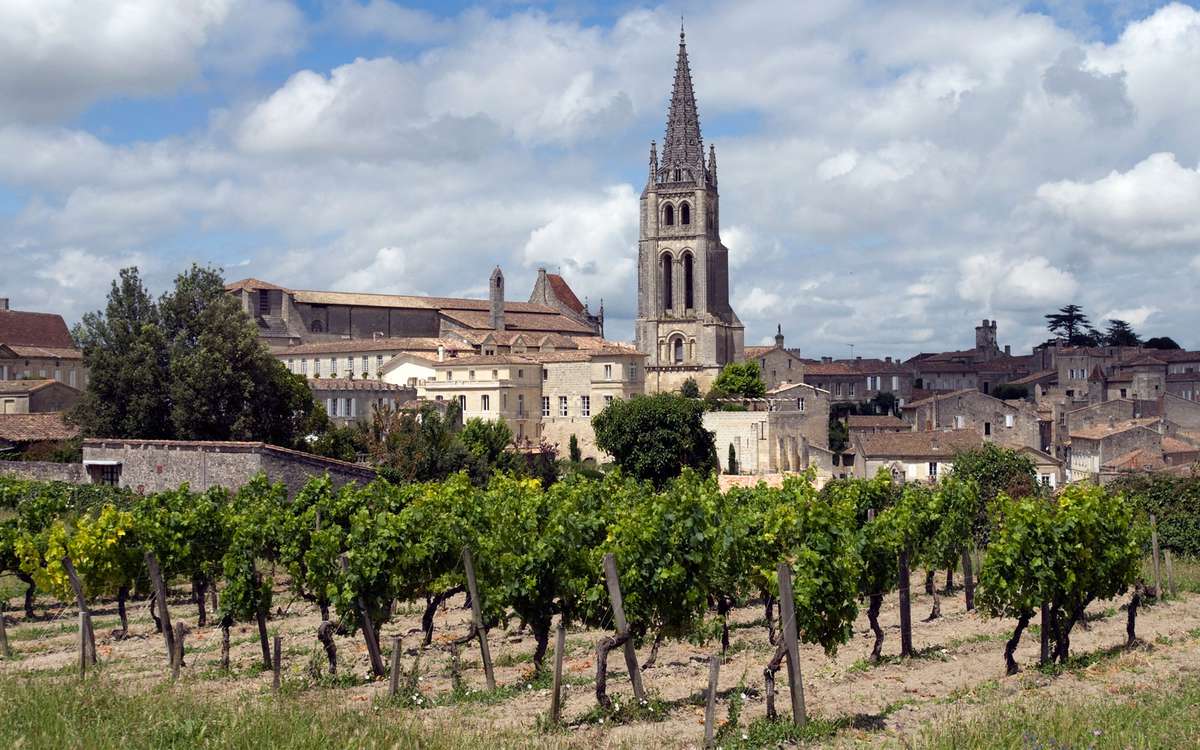 Saint Eillion vineyards in France