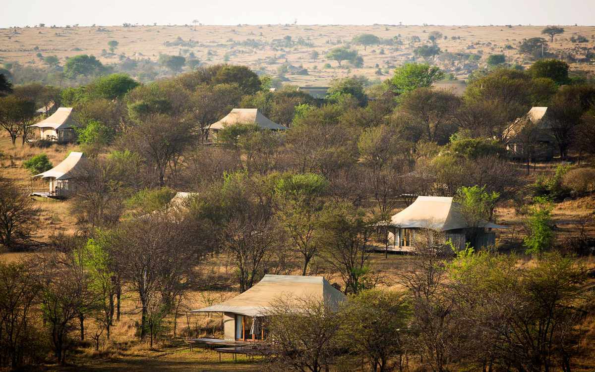 Tents at Sayari Camp Safari in Serengeti