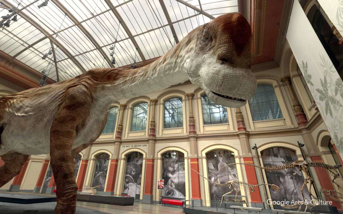 Natural History Museum 360 Interactive Museum Experience