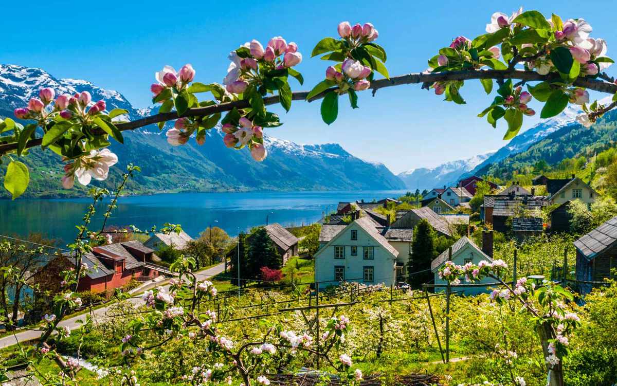 Scenic View of Norway