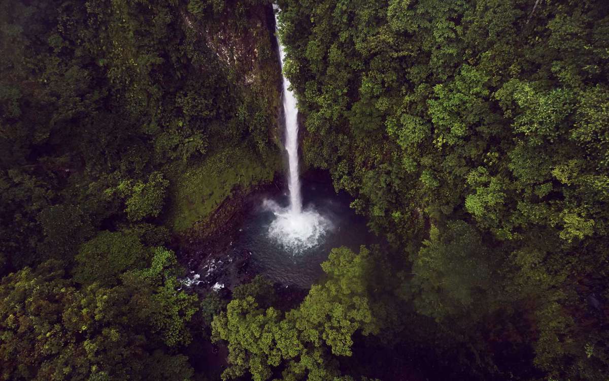 A waterfall in Costa Rica, surrounded by the rainforest