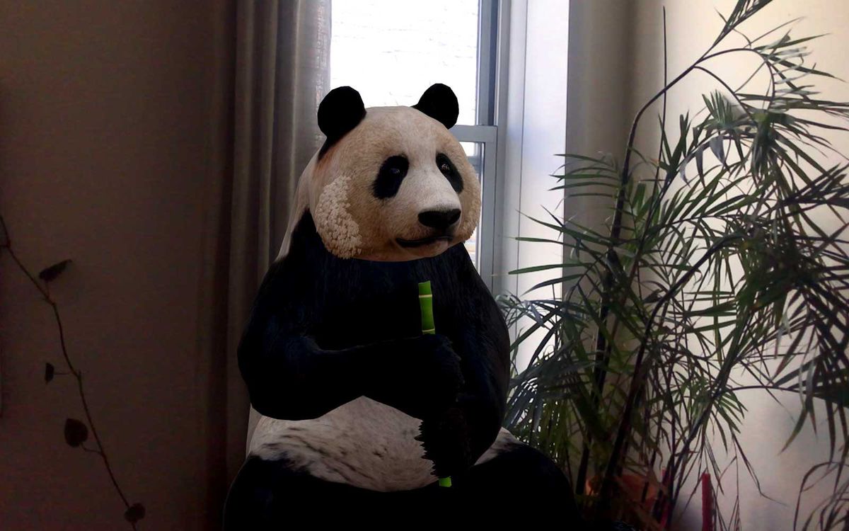 Panda inside home with Google AR Animals