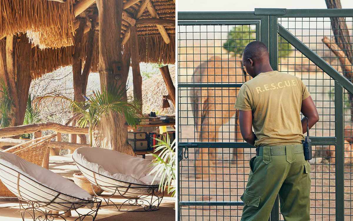 Interior of a treehouse safari suite; a worker latches a gate at an elephant sanctuary