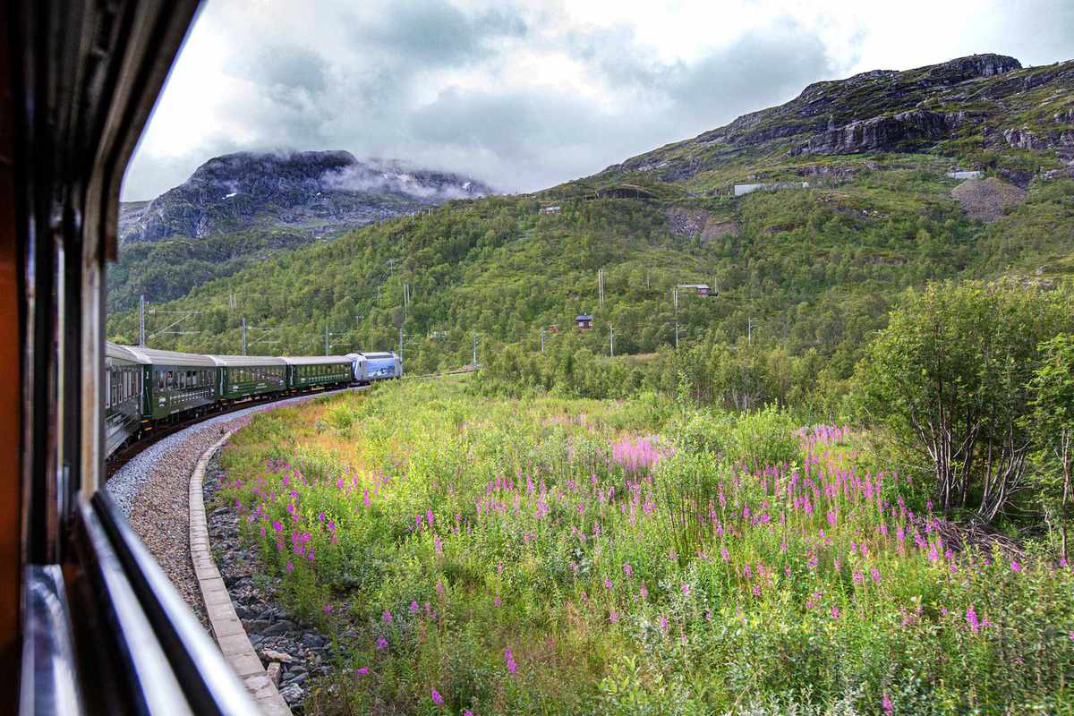 Spectacular view from the famous Norwegian Flåm train speeding uphill on its way to Myrdal station. Said to be one of the most beautiful railway journeys on the planet.
